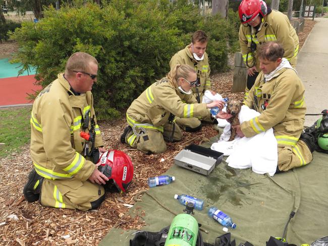 Man critical after suspicious blaze guts house at Pemulwuy | Daily ...