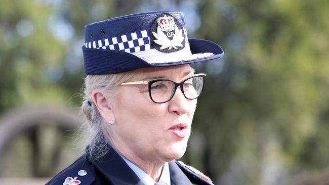 Police Commissioner Katarina Carroll. Picture: Steve Pohlner