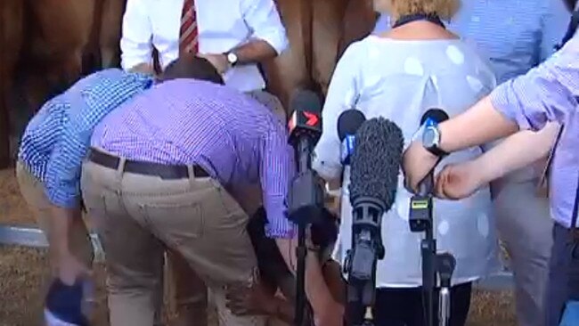 Prime Minister Scott Morrison and Capricornia MP Michelle Landry all bent down to help the crying woman. Source: 7 News / Twitter