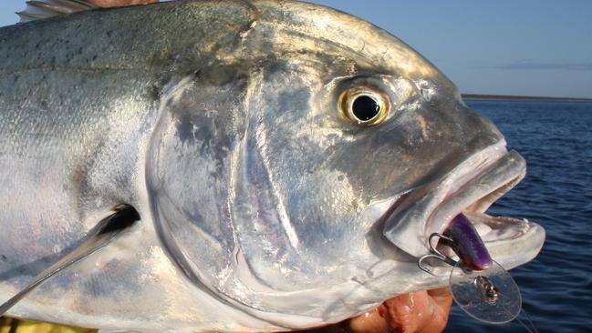 Chris Errity with a big golden trevally, which have been turning up in local land-based areas around Darwin