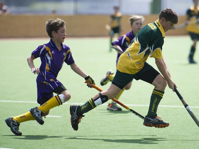 Macarthur Chronicle - Pictured: Dylan Offord (Harrington Park) chases the ball - Ingleburn Bulldogs (green yellow) versus Harrington Park Hurricanes (purple) - Macarthur District Juniors hockey finals 2014 held at Millwood Avenue, Narellan NSW Australia