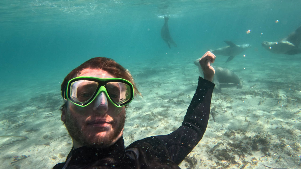 I swam with sea lions on the Eyre Peninsula South Australia and got