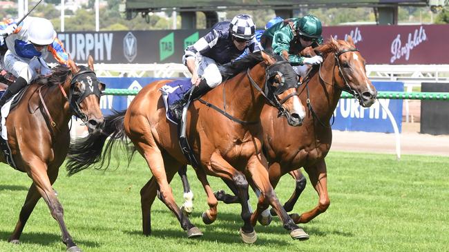 It'sourtime, ridden by Billy Egan, wins the Standish Handicap at Flemington on Saturday. Picture: Racing Photos