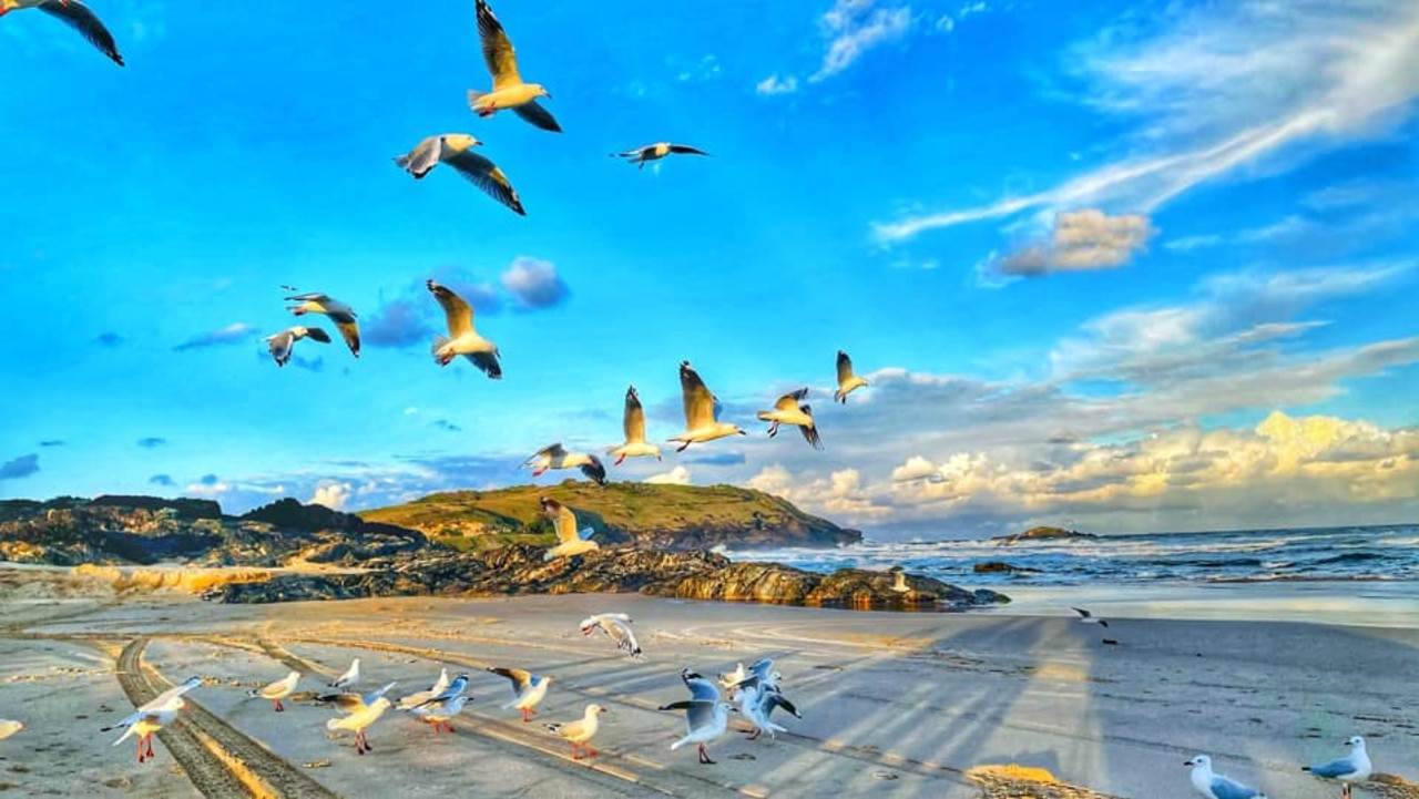 Reader Cassie Law snapped this incredible shot at Coffs Harbour's Boambee Beach.