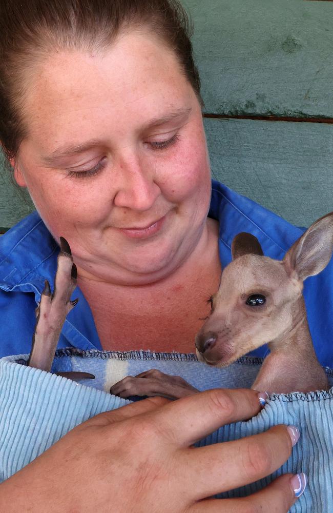 Wildlife carer Bryanna Carter with a joey saved from the fires. Picture: Liam Kidston