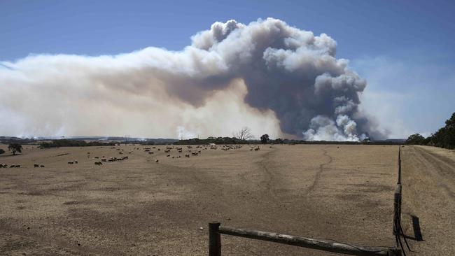 Plumes of smoke seen from Welsh Rd looking north towards Lathami Conservation Park, Stokes Bay and Cassini. Picture: AAP / Emma Brasier