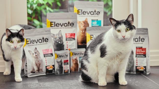 Pet food is big business in Australia, with $3.6bn being spent on dog and cat food per year. Picture: Supplied by Coles