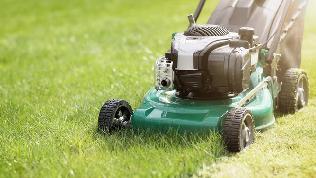 The big question: when can I mow?