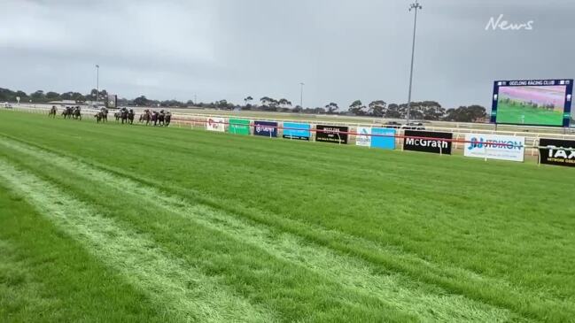 Amade wins Geelong Cup