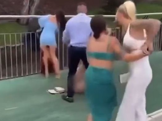 A woman in a blue dress got involved. Picture: Supplied