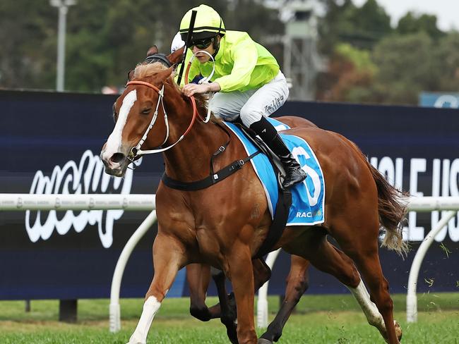 SYDNEY, AUSTRALIA - SEPTEMBER 28: Zac Lloyd riding Makarena wins Race 7 Racing And Sports Golden Pendant during "Golden Rose Day" Sydney Racing at Rosehill Gardens on September 28, 2024 in Sydney, Australia. (Photo by Jeremy Ng/Getty Images)