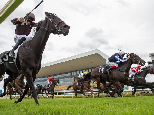 Dale Smith and Blackboots (14) get the nod in a very tight finish to race 4 at Doomben.