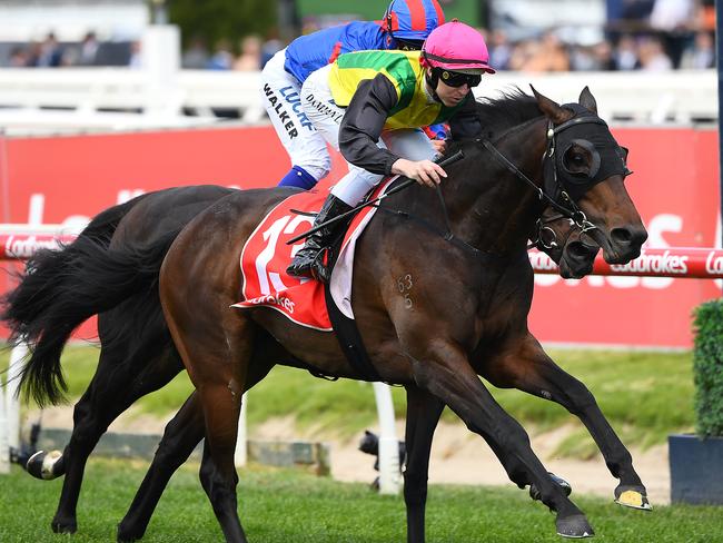 MELBOURNE, AUSTRALIA - OCTOBER 12: Damian Lane riding The Chosen One leads the field across the line to win the Ladbroke Herbert Power Stakes during Melbourne Racing Caulfield Guineas Day at Caulfield Racecourse on October 12, 2019 in Melbourne, Australia. (Photo by Quinn Rooney/Getty Images)