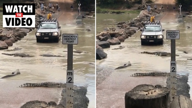 Driver’s ‘scary’ act in croc infested river