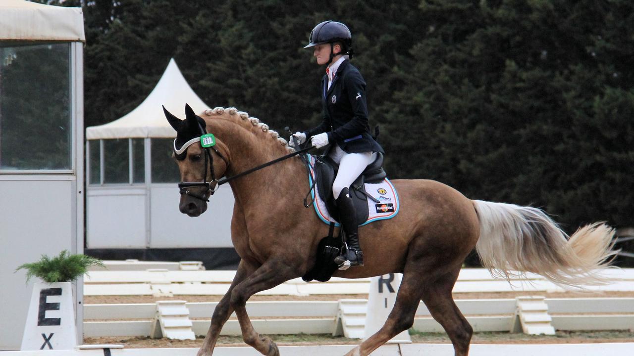 Top quality on show at Dressage and Jumping with the Stars The Weekly