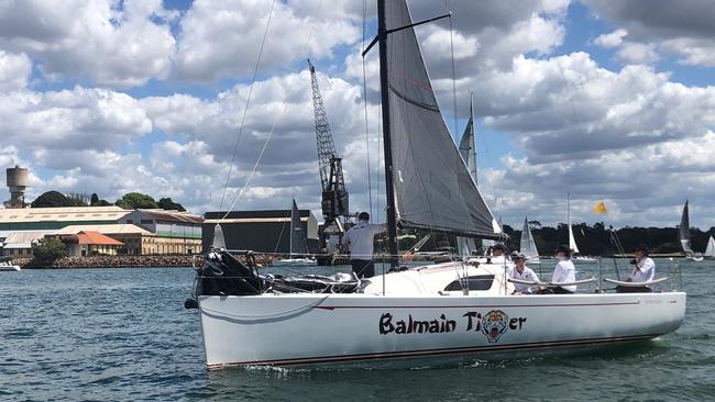 The aptly named Balmain Tiger competing in the regatta.