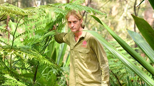 Bushcare regeneration team leader Tristram Thomas looking for wallabies in Tunks Park. Picture: AAP Image/Joel Carrett