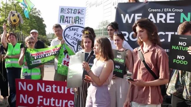 Greta Thunberg joins activists outside EU parliament