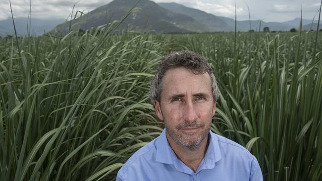 Queensland Canegrowers CEO Dan Galligan said a deal was stalling on crushing Mossman cane south at Gordonvale over transport costs. Picture: Brian Cassey.