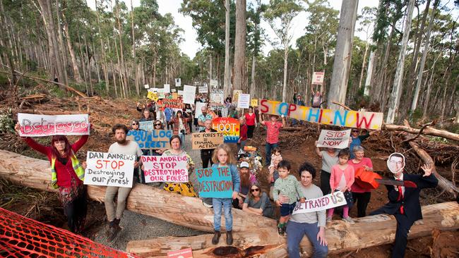 Wombat protest: Forest residents expressing their opposition to VicForests works in late April 2022. Picture: Sandy Scheltema