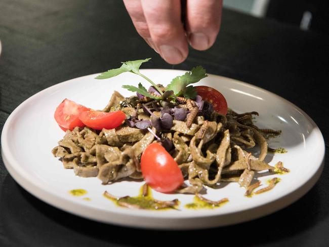 Basil Pesto Tagliatelle, made with ground black soldier fly larvae, and garnished with mealworms, at Gourmet Grubb, a food stand specialising in using insects in cuisine, in Cape Town, South Africa. Picture: AFP