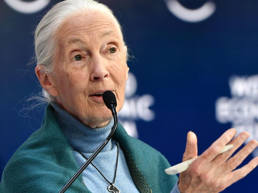 Leading anthropologist Jane Goodall, who is close to Prince Harry, says he did not wish his son Archie to be raised as a royal. Picture: AFP