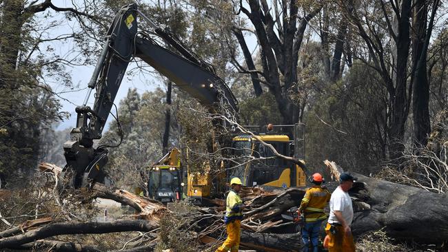Workers cut down burnt trees to clear the roads after the bushfire in Batlow on January 8. Picture: Saeed Khan/AFP