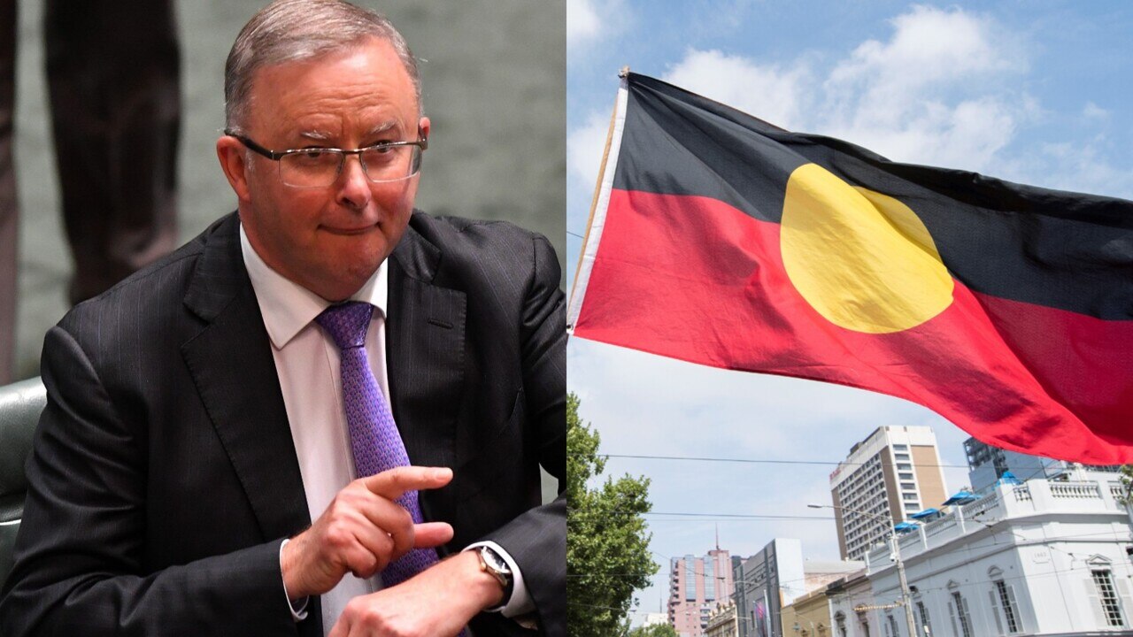 Albanese ‘brushes off’ concerns Tasmanians don’t support the Voice to Parliament