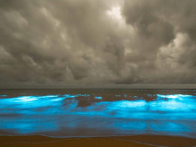 Bioluminescence Tasmania: Spotted at Preservation Bay | news.com.au ...