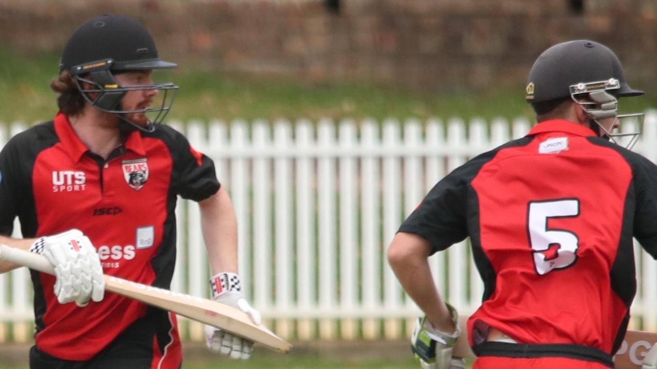 UTS North Sydney in a Premier Cricket match in Sydney. Pic: Supplied