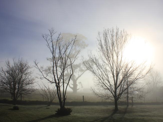 The sun exploding through fog at Barrengarry (Southern Highlands). Photographer: Wayne Gentle