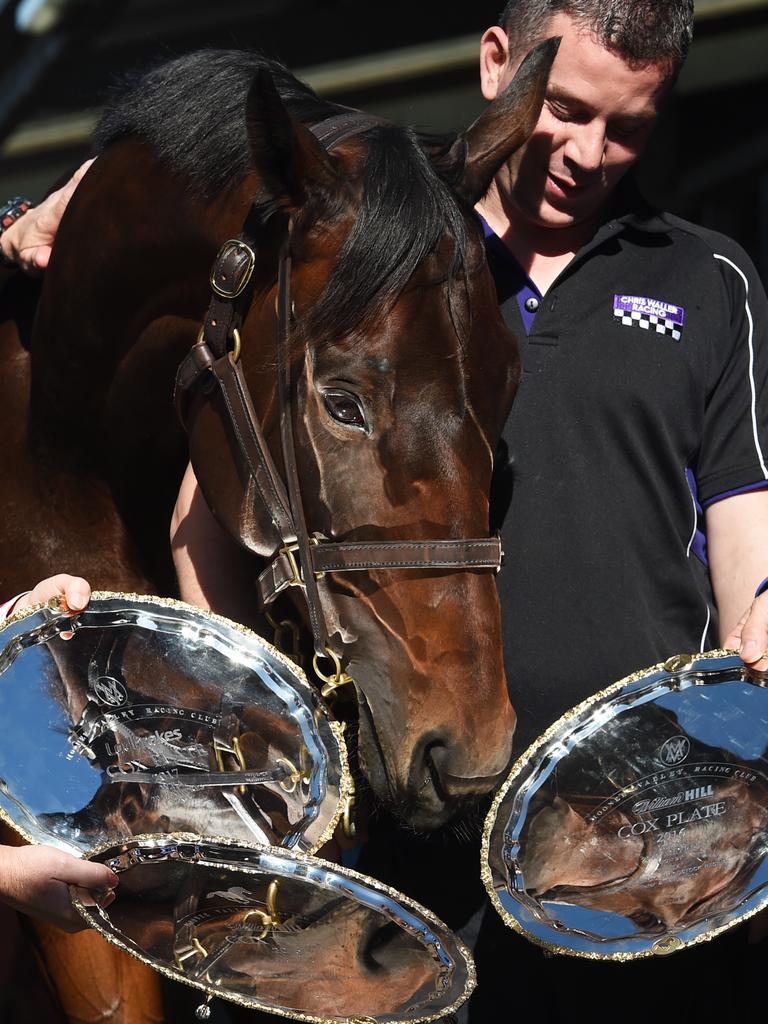 Reflecting on past achievements: Champion mare Winx with her three Cox plates and strapper Umut Odemislioglu. Picture: Getty Images