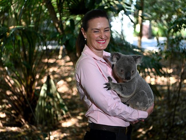 Queensland Environment Minister Leanne Linard holds Spoon the koala after announcing funding to deliver koala threat management initiatives, on National Threatened Species Day at the Lone Pine Koala Sanctuary. Picture: Dan Peled / NCA NewsWire