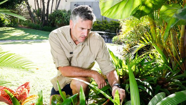 Dennis Scott gardening guru and columinst pictured in Manly.