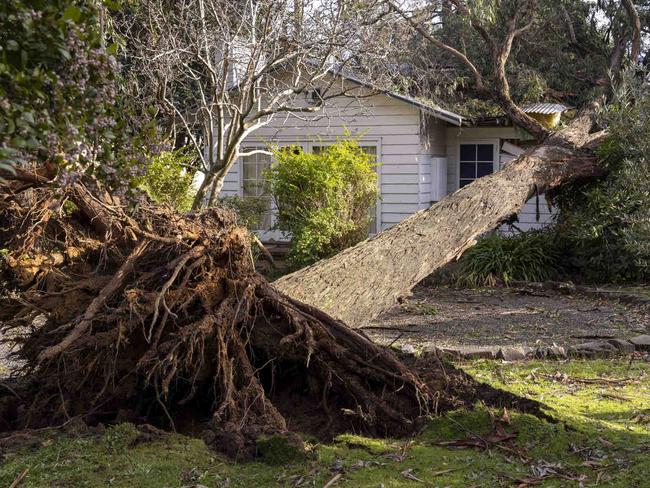 Victorians on alert as more wild weather to lash state