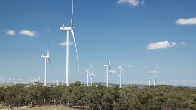 Collector Wind Farm. Picture: Supplied by Symal