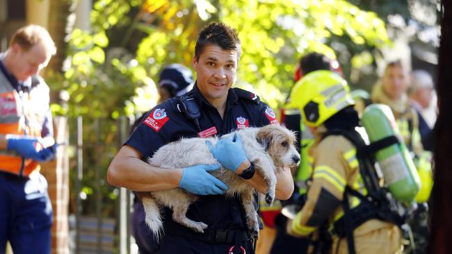 A dog was rescued from the building. Picture: Sam Ruttyn