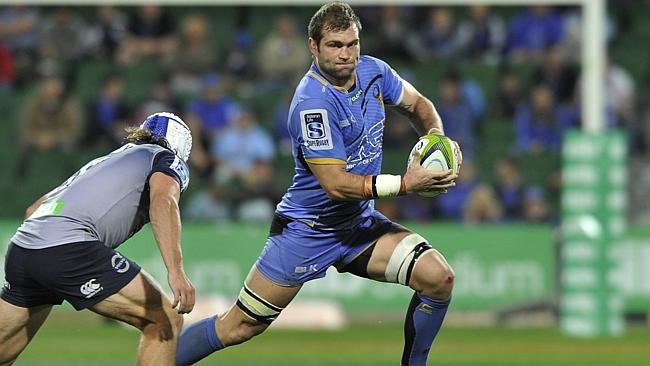 Force’s Ben McCalman in action against the NSW Waratahs, will be in the starting lineup for the match against the Brumbies tonight.
