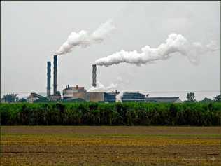 Mackay Sugar is being investigated by the ACCC for imposing a $2 a tonne levy. Picture: Sue Hurt