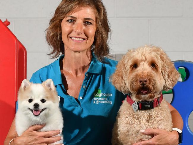 8/2/19. Money Saver - Doghouse Daycare - Founder Robbie Bache with Poky (white) and Lenny. A story about the cost of doggy daycare and its rising popularity.Picture: Keryn Stevens