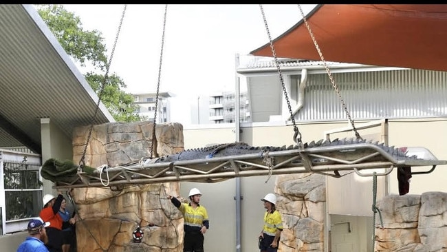 New Saltie at Crocosaurus Cove in Darwin. With the arrival of Bullo, monster Wendell had to craned to new digs in the Cove on 28/01/25. The shift was overseen by Mick Burns with the help of Outback Wrangler Matt Wright and his team.