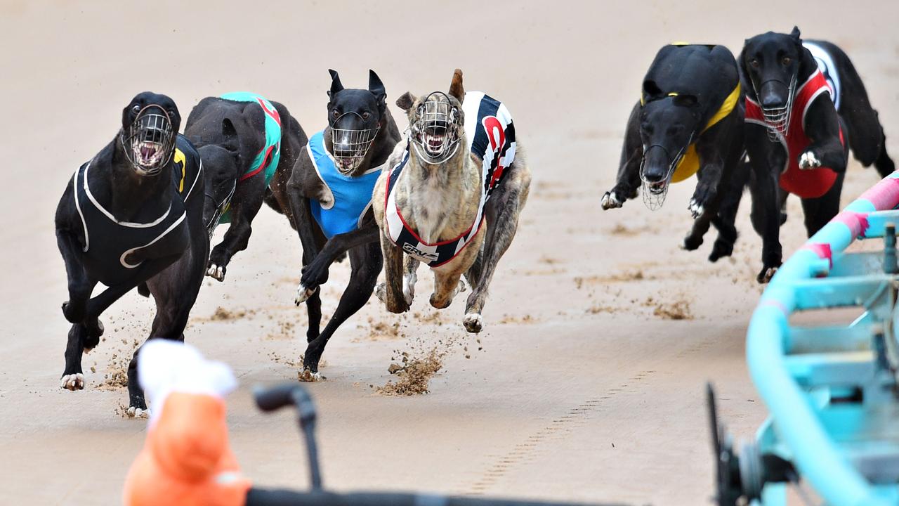 what is the prize money in greyhound racing