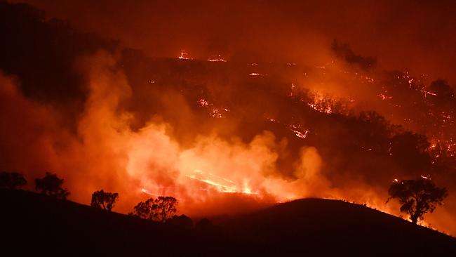 The bushfires of 2019-20 were horrific but were not “unprecedented”. Picture: Sam Mooy/Getty Images