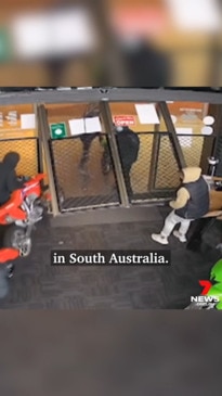 Young and dumb: SA’s immature criminals exposed