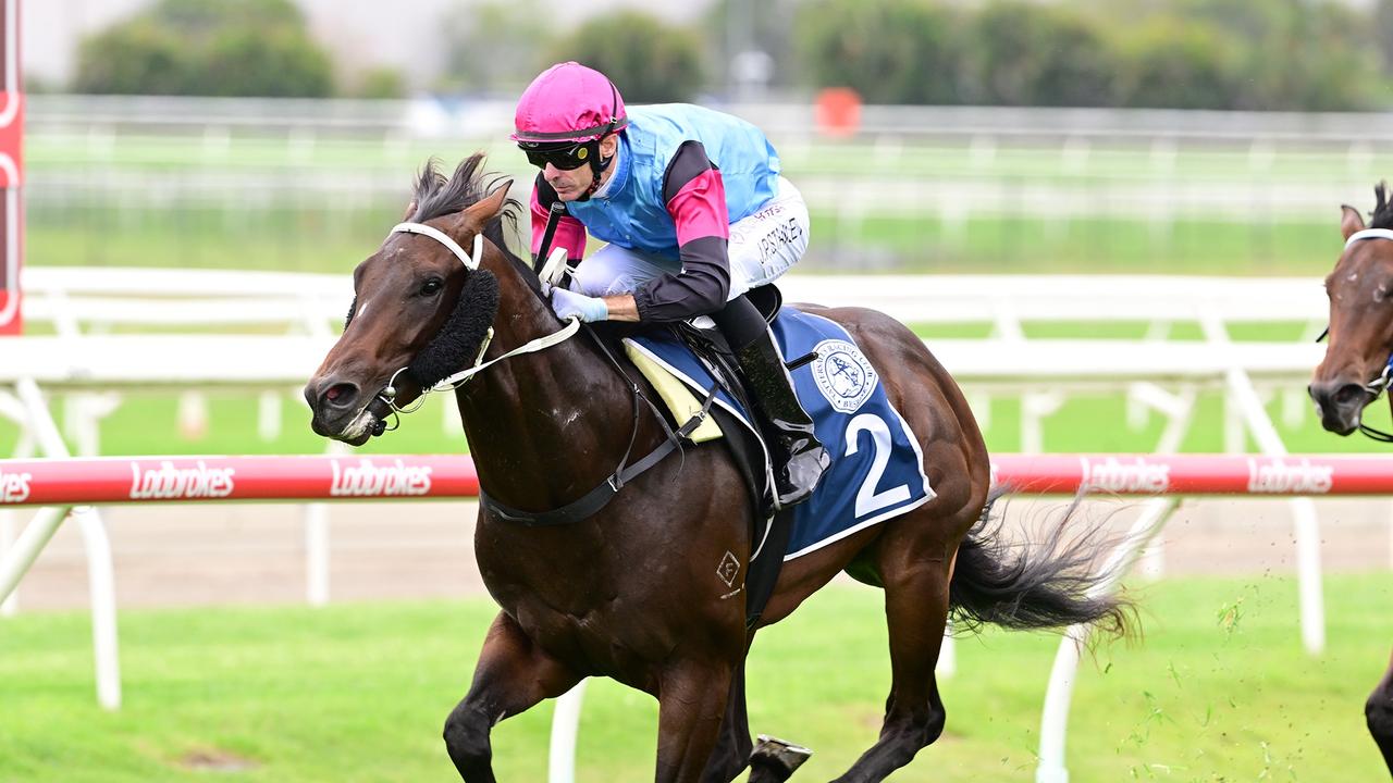 Rockhampton racing’s rising star Astapor headed to Sydney trainer Joe ...