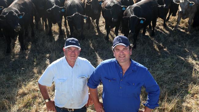 Nick Allen and father David on their farm near Mortlake in Victoria’s Western District.