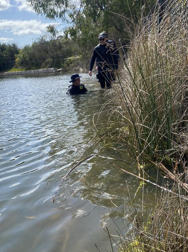 Police divers search the Stebonheath wetlands near St Columba College. Picture: Brinley Duggan