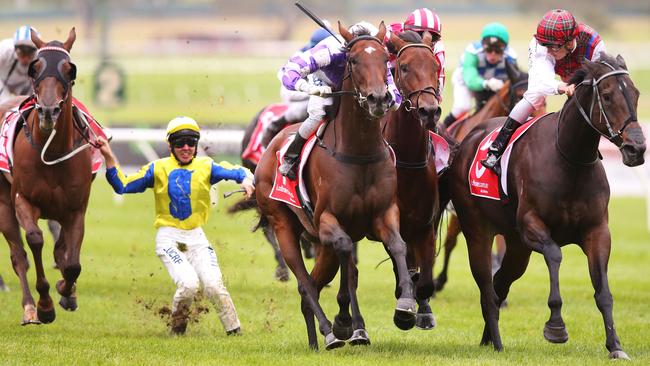 Ben Thompson crashes to the turf at Sandown on Wednesday. Pictures: Racing Photos