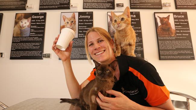 Crazy Cat Cafe owner Jackie Moureau. Picture Glenn Hampson