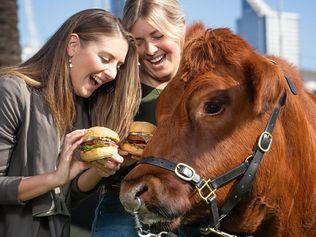 Alice Cloake and Ashley Urquhart give Teddy the day off as they tuck into vegie burgers. Picture: Sarah Matray